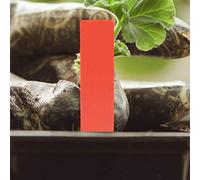 Aramox Étiquettes de Nom de Plante Étiquettes de Plantes en PVC 100 Pièces avec Anti-marqueurs Mat Inscriptible Réutilisable 5x1 Cm pour Pots et Semis de Serre de Verger de Jardin (rouge)