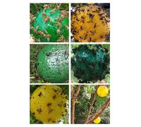 ARAMOX piège collant à mouches Boule de piège à mouches suspendue, 4 pièces, piège collant pour fruits, jardin essence Vert