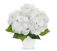 Arborus 33 cm - Hortensia artificiel blanc - Fleurs artificielles en soie comme de vraies plantes artificielles hortensia - Fleurs décoratives pour table, étagère, rebord de fenêtre, décoration