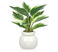 Arborus Dieffenbachie - Plantes artificielles en pot en céramique - 28 cm - Plantes vertes artificielles - Plantes artificielles comme de véritables plantes décoratives pour table, étagère, salon