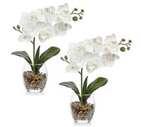 Arborus Lot de 2 orchidées artificielles blanches dans un vase en verre, petites orchidées artificielles avec vase bohème, fausses phalaenopsis décoratives pour mariage, centre de table, décoration