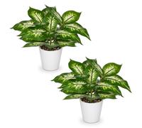 Arborus Lot de 2 plantes artificielles dans des pots blancs, 24,9 cm, fausses plantes dieffenbachia panachia en pot, petites plantes artificielles décoratives d'intérieur pour la maison, la table, la