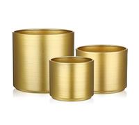 Arborus Lot de 3 pots de fleurs en métal doré 9/10/14 cm - Pot d'extérieur - Petit cylindre - Pots de fleurs en fer - Pour plantes - Monstera Sansevieria lierre - Lavande succulentes