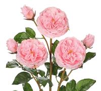 Arborus Lot de 3 roses artificielles de 60 cm de long - Fleurs artificielles en soie - Branches artificielles pour vase sur table, étagère, rebord de fenêtre, bouquet de fleurs décoratives dans la