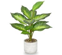 Arborus Plantes artificielles d'intérieur dans un pot en céramique de 37 cm - Grandes plantes artificielles en pot de dieffenbachia - Plante artificielle de bureau dans un pot rustique pour salon,