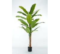 Arbre Artificiel de Banane avec Écorce Naturelle, Feuilles en PVC, Diverses Tailles, pour Intérieurs Résidentiels et Commerciaux (Chinquita 220 cm - 4 troncs)