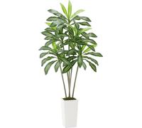 Arbre artificiel Dracaena de 1829 mm avec pot blanc pour intérieur