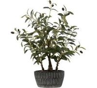 Arbre Artificiel en Pot "Olivier" 60cm Vert Vert G