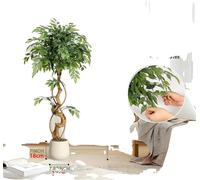 Arbre artificiel Ficus, tige courbée, pot blanc, hauteur, 120cm
