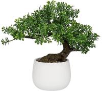 Arbre Bonsaï artificiel Podocarpus 25 cm avec pot en céramique - Décoration pour le salon et la chambre à coucher