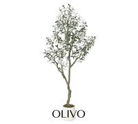 Arbre d'olivier artificiel décoratif 180cm - Plante verte réaliste avec tronc naturel, fruits, ramifications flexibles
