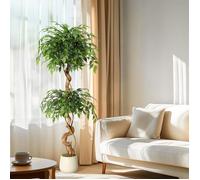 Arbre Ficus Artificiel Haut de Gamme en Pot, Hauteur 1,5 m, Tronc, Branches, Liane, Lichen, Feuilles, Grand Réalisme - 150cm