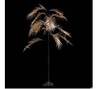 Feeric Lights et Christmas - Arbre Lumineux d'intérieur Palmier doré h. 90 cm 90 LED + transfo
