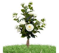 Arbres artificiels de camélia, réalistes, avec piquets pour la fixation au sol