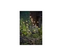 Arbuste a fleurs solaire - GALIX - G4505 - H72