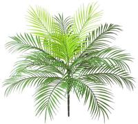 Arbuste artificiel en forme de feuille de palmier tropicale, en plastique, 63 cm de long, pour une décoration tropicale de grande envergure