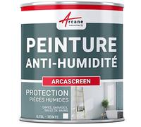 Peinture anti humidité mur humide salle de bain - ARCASCREEN - 0.75 L (jusqu'à 3 m²)