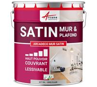 ARCANE INDUSTRIES Peinture Murale Interieur | Peinture Mur et Plafond satinée | Blanche ou teintée : Arcadéco Mur Satin - 10 L Gris Clair - RAL 7035