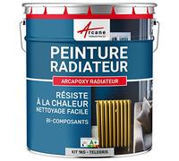 ARCANE INDUSTRIES Peinture Radiateur Chauffage 1 kg Telegris 4 | S'Applique Facilement sur Radiateur, Résiste à la Chaleur, Fonte, Acier, Alu, Cuivre, Zinc, Galva - Arcane Industries