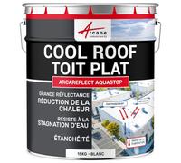 ARCANE INDUSTRIES Peinture Toiture Coolroof Toit Plat Étanche 15 kg Blanc | Anti-Chaleur et Étanche, Résiste à la Stagnation d'Eau et aux Uv, Toit Plat, Béton, Tuiles, Bois - Arcane Industries