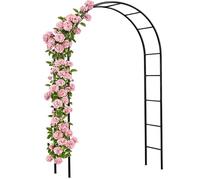 Arche de Jardin 240x140x37cm Support pour Plantes grimpantes Arche à rosiers Tuteur Décoration extérieure