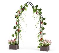 Arche de Jardin à Pointe avec Paravent Treillis,120x40x240 cm,Support pour Plantes Grimpantes en Fer et PE, Anticorrosion Décoration Extérieur Jardin