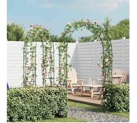 Arche de jardin Arceau à rosiers 2 pièces pour plante Arche de jardin 2 pièces pour plantes grimpantes ( 4223303)
