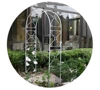 Arche De Jardin en Métal pour Plantes Grimpantes - Arche en Métal - Support De Plantes - Arceau Rosiers Grimpants - Décoration De Jardin(120 * 240 * 38cm)