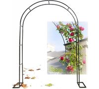 Arche de jardin en métal pour plantes grimpantes d'intérieur et d'extérieur - Kit d'arche de ballons pour décoration de fleurs, pergola pour fête, cérémonie, support de treillis (l 350 x H 220 cm)