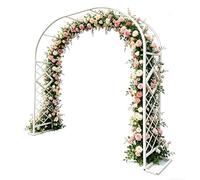 Arche De Jardin en Métal Robuste - Grande Tonnelle pour Rosiers Grimpants, Support pour Arcade De Rosier, Structure Métallique Extérieure Solide avec Bases(White,3 * 2.30m/9.8 * 7.5ft)