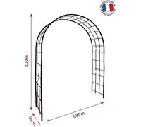 Louis Moulin 3006 Arche pour Plantes Grimpantes Métal Fer Vieilli 180 x 50 x 250 cm