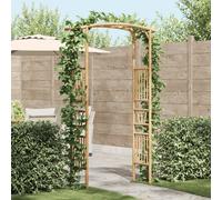 Vidaxl Arche De Jardin Naturel 177 X 40 X 205 Cm Bambou