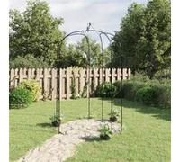 Arche de jardin Noir Ø180x255 cm Acier Noir G