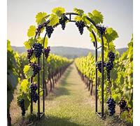 Arche de jardin réglable en métal - Support de treillis pour roses - Hauteur : 120 à 250 cm - Noir - Décoration de mariage et de jardin - 1,4 x 2,30 m (l x H)