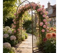 Arche de Jardin Robuste en métal, Arches à rosiers Robustes et antirouille, Montage Facile, Structure Solide pour rosiers d'extérieur.