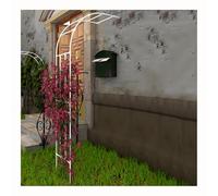 Arche de Jardin Robuste en métal Blanc pour Plantes grimpantes, Treillis en Fer résistant aux intempéries, pergola, Structure pour rosiers d'extérieur, 60 x 240 x 40 cm - Idéale pour la déco