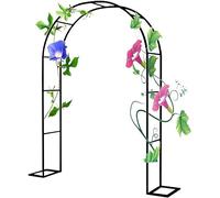Arche de jardin robuste pour plantes grimpantes, support résistant aux intempéries pour roses et vignes, utilisation en intérieur et en extérieur