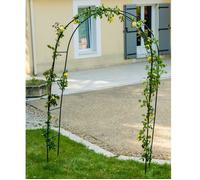 Arche de jardin WERKA PRO 240 x 140 x 37 cm métal vert