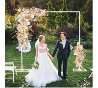 Arche de Mariage en Fer - Arche de Ballon Fleur Métallique Amovible pour Décoration de Mariage Ceremonie - 3m x 3m