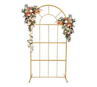 Arche de mariage en métal pour cérémonie de mariage | pour anniversaire, 2 x 1 m pour décoration d'anniversaire, fête, cérémonie, 1 pièce support décoratif