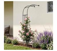 Arche Jardin pour Rosiers Plantes Grimpantes, Arche De Jardin en Métal, Treillis De Tonnelle Demi-latérale pour Décoration Porte Cour Patio 60x240cm 90x240cm 150x240cm 260x240cm(Black,W200*H240cm)