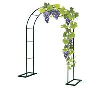 Arche métallique pour Plantes grimpantes, Treillis de Jardin Vert et Structure d'arche de Mariage, pergola extérieure réglable de 80 à 350 cm pour événements et décorations, Conception durab