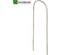 Arche pour plantes en bambou - tuteur/support pour plantes grimpantes - 45 x 15 cm - 1 pièce