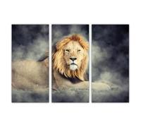 AREDE Lot de 3 Affiches murales Multi Panneaux Lion dans la poussière | 90 x 60 cm | Tableau Art Décoration Murale pour la Maison, le Bureau, le Salon, la Chambre à coucher - Prête à être accrochée