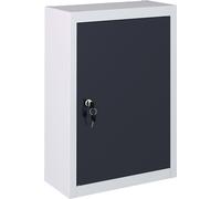 Armoire à outils murale Style Industriel Métal Gris et noir
