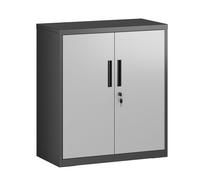 Armoire de classement multi-usages avec 2 portes, armoire de rangement en acier, pour bureau, salon, argenté/noir