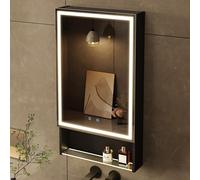 Armoire de rangement pour médicaments avec miroir et espace de stockage, 20"×34"