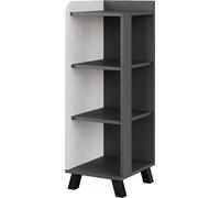 Armoire Midisch Vicco Karen Anthracite/blanc 30x90cm avec 4 étagères, Model 54656