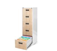 Jan Nowak Armoire pour Dossiers Suspendus Métallique avec 5 Tiroirs Revêtement en Poudre Tôle d'acier (Blanc/Imitation Bois)