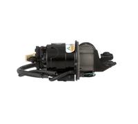 Arnott P-3021 Compresseur suspension pneumatique